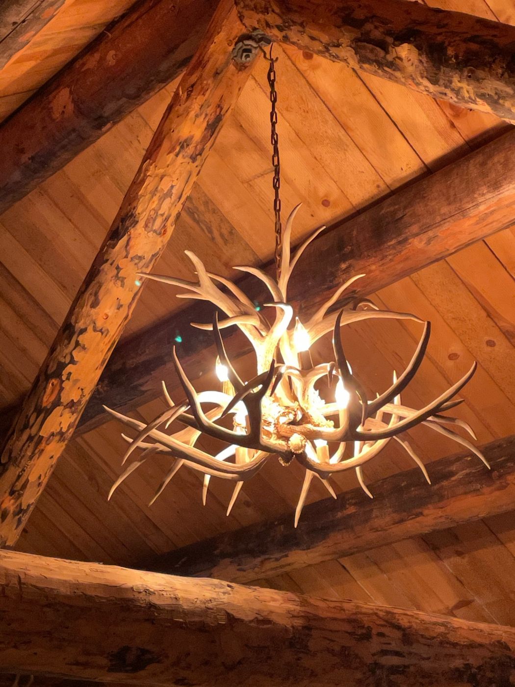Hand-crafted real antler chandelier
